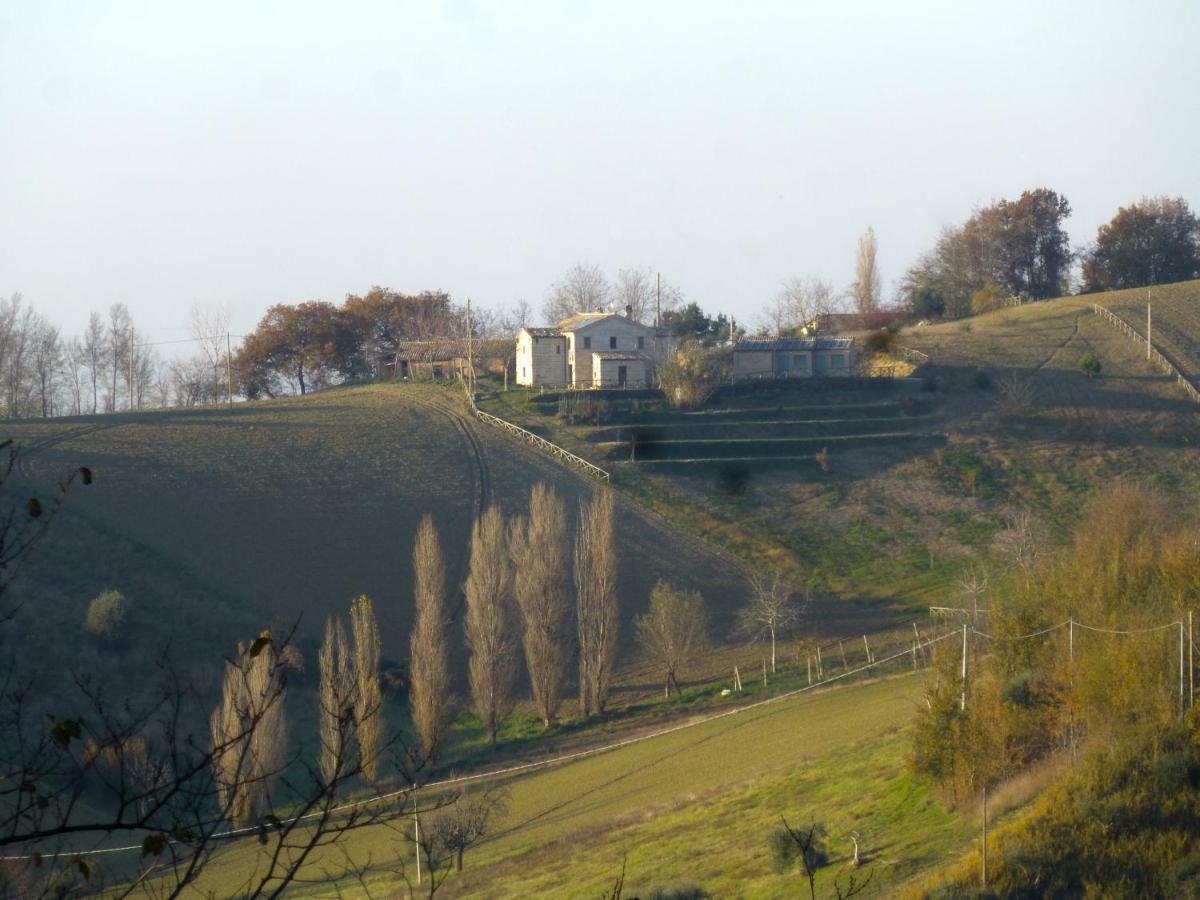 Locanda San Francesco Montecarotto Екстериор снимка